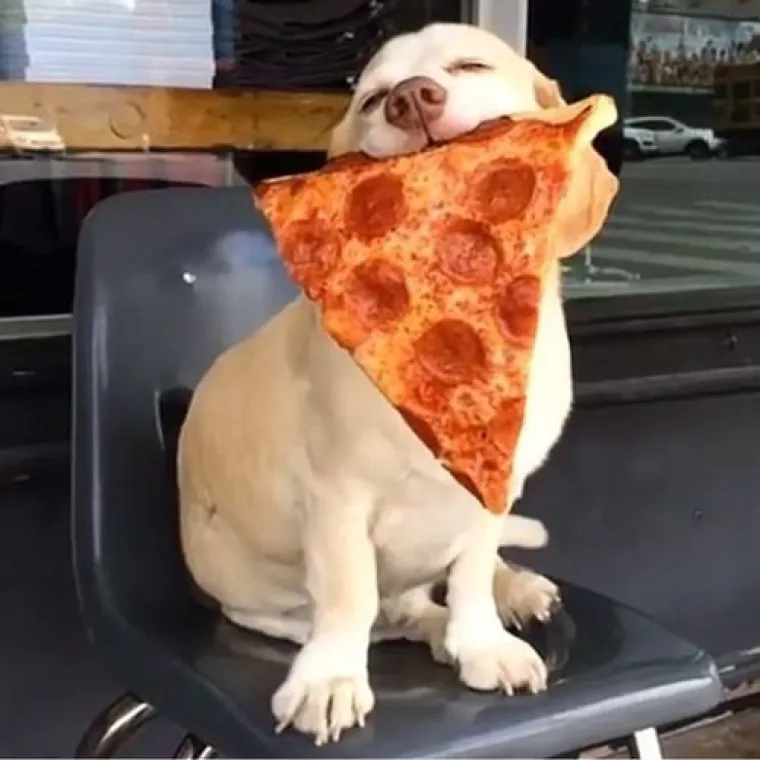 Naručio je pizzu za sebe i očekivao da je ja platim.