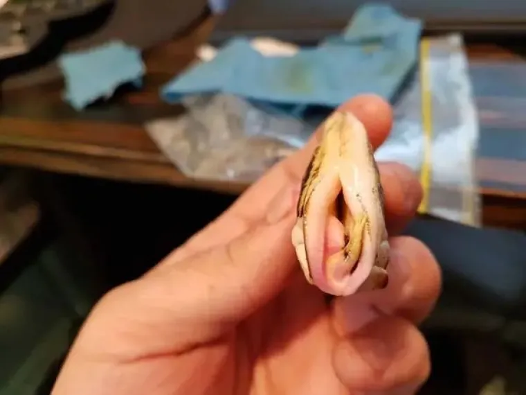 OD 1 DO 10, KOLIKO VAM JE PRLJAV UM? Priznajte, &scaron;to točno vidite na ovim fotografijama