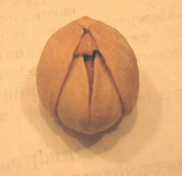 OD 1 DO 10, KOLIKO VAM JE PRLJAV UM? Priznajte, &scaron;to točno vidite na ovim fotografijama