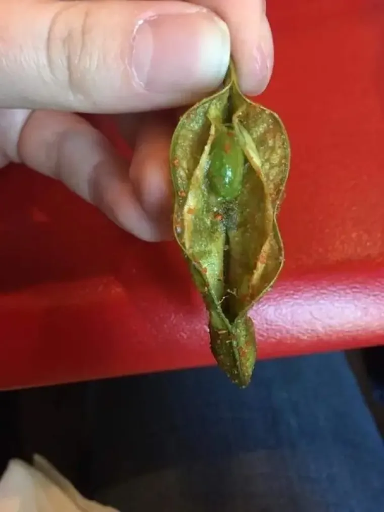 OD 1 DO 10, KOLIKO VAM JE PRLJAV UM? Priznajte, &scaron;to točno vidite na ovim fotografijama