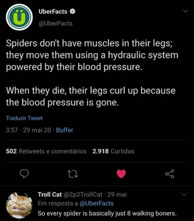 UF, OVAKVIM ODGOVORIMA SE NISU NADALI: Neka im netko pozove hitnu, jer ovo mora da je gadno boljelo