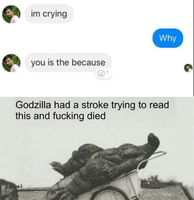 OVI SU STVARNO IZGUBLJENI U PRIJEVODU: Znali su što žele poručiti, ali ne i kako to napisati