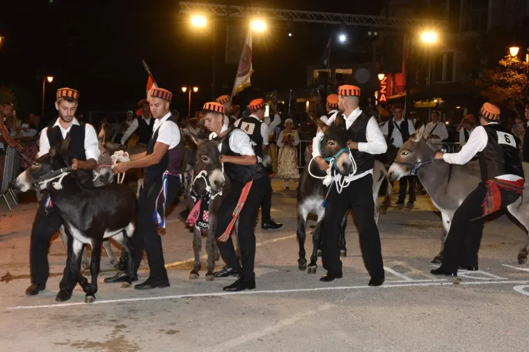 Veliko veselje unatoč pandemiji: Mještani uživali u tradicionalnoj 53. utrci tovara u Tribunju