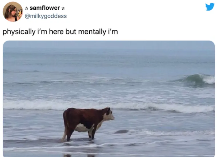 TU SMO, ALI SU NAM MISLI NEGDJE SASVIM DRUGDJE: Teleportacija jo&scaron; uvijek ne postoji pa nam preostaje samo ma&scaron;tanje