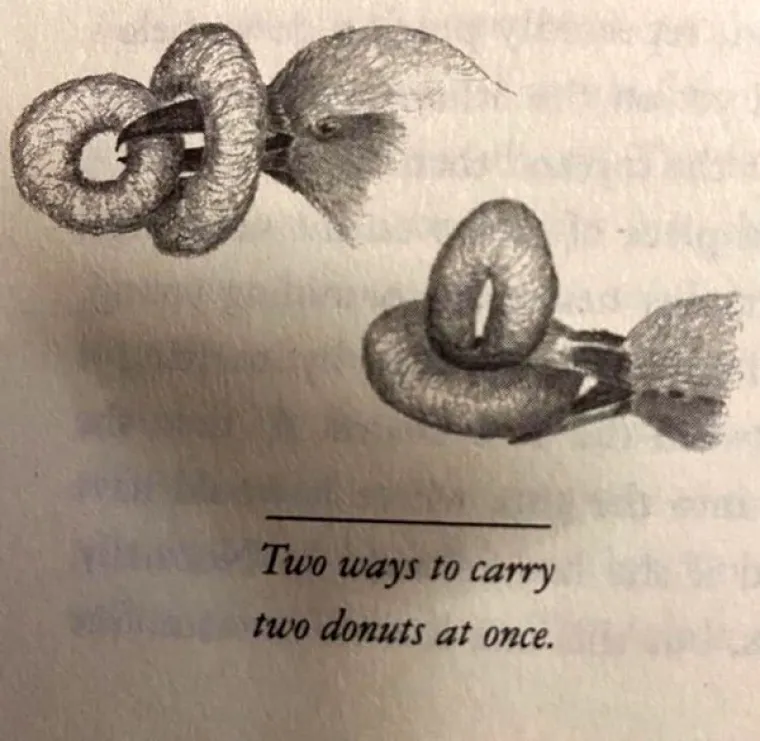 PRONA&Scaron;LI SMO KRIVCE ZA VA&Scaron;E JEDINICE U &Scaron;KOLI: Pa tko je, zaboga, mislio da je ovo okej staviti u udžbenike?!