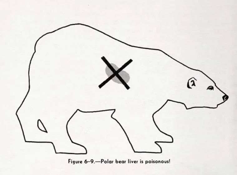 PRONA&Scaron;LI SMO KRIVCE ZA VA&Scaron;E JEDINICE U &Scaron;KOLI: Pa tko je, zaboga, mislio da je ovo okej staviti u udžbenike?!