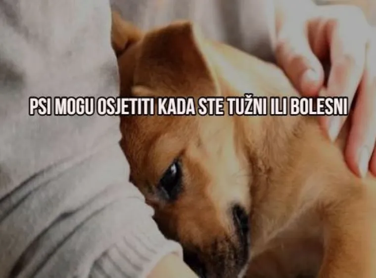 'Božić je za skoro 100 dana': Evo 10 "mindblown" činjenica u koje ćete jedva povjerovati