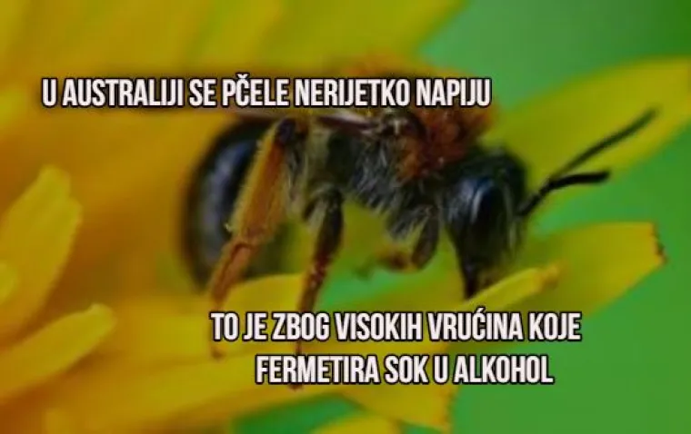 'Božić je za skoro 100 dana': Evo 10 "mindblown" činjenica u koje ćete jedva povjerovati