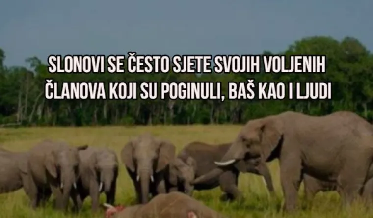 'Božić je za skoro 100 dana': Evo 10 "mindblown" činjenica u koje ćete jedva povjerovati