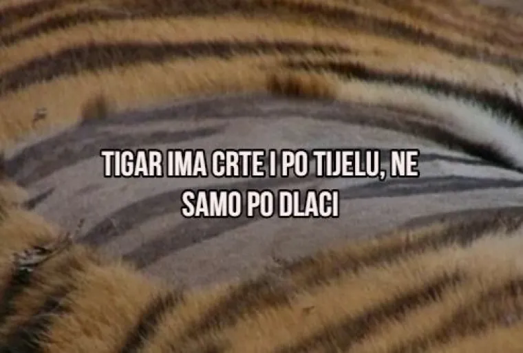 'Božić je za skoro 100 dana': Evo 10 "mindblown" činjenica u koje ćete jedva povjerovati