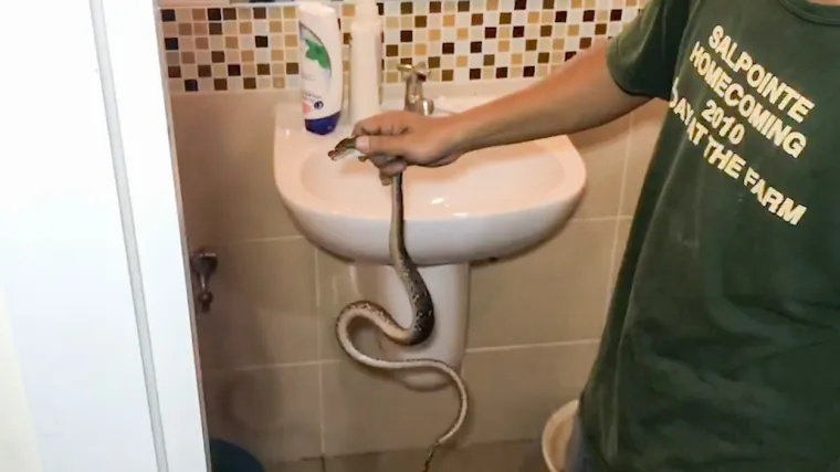 NOĆNA MORA NA WC-U: Dečko sjeo obaviti nuždu pa osjetio oštru bol u penisu. Ugrizlo ga je - što? Ovo ne gledajte prije jela