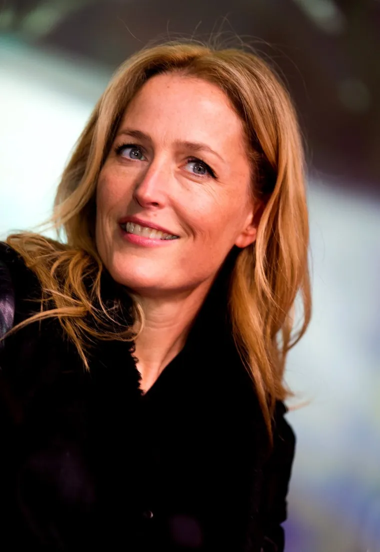 2015. godine Gillian Anderson, foto: Profimedia