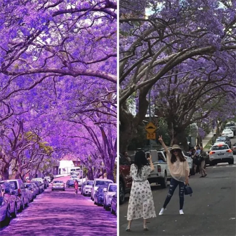 NAJGORE PHOTOSHOP LAŽI: Ima li istine nakon interneta? Ove fotke će vas ili dotući ili nasmijati - nema trećeg