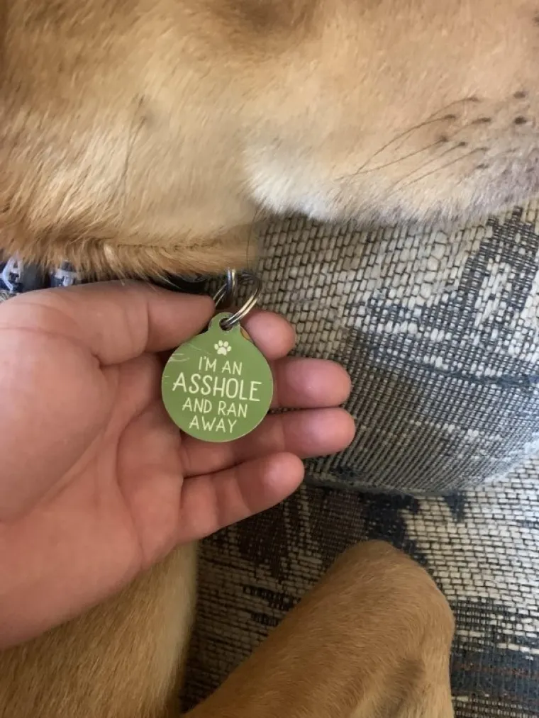 PRESLATKI ČETVERONO&Scaron;CI NA STUPU SRAMA ZBOG SVOJIH NESTA&Scaron;LUKA: Znaju da su zabrljali, ali tko im ne bi oprostio?