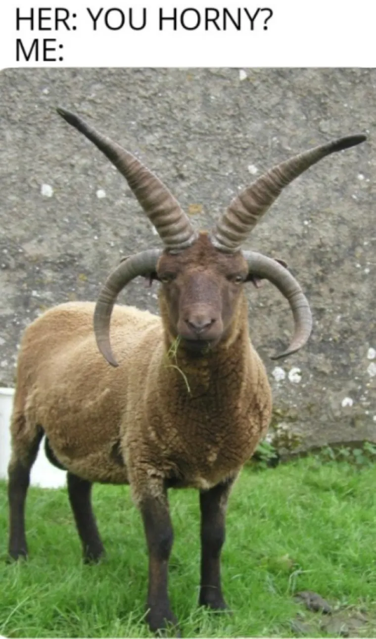 POZNATO? NARAVNO DA JE: Perverzni memovi u kojima se itekako vidite, ali nema &scaron;anse da ćete to ikad priznati