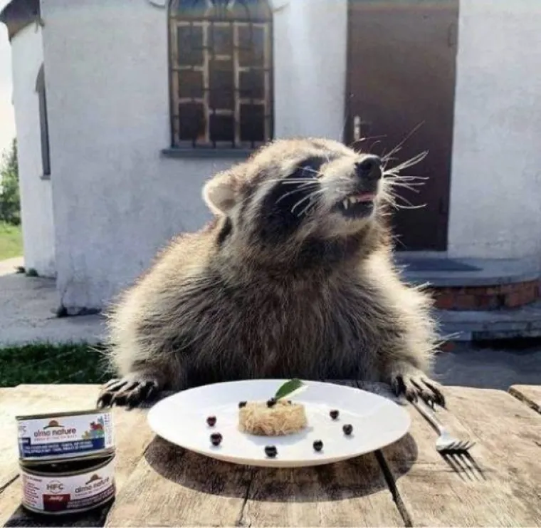 Naravno, najkreativniji su kad su u pitanju repete