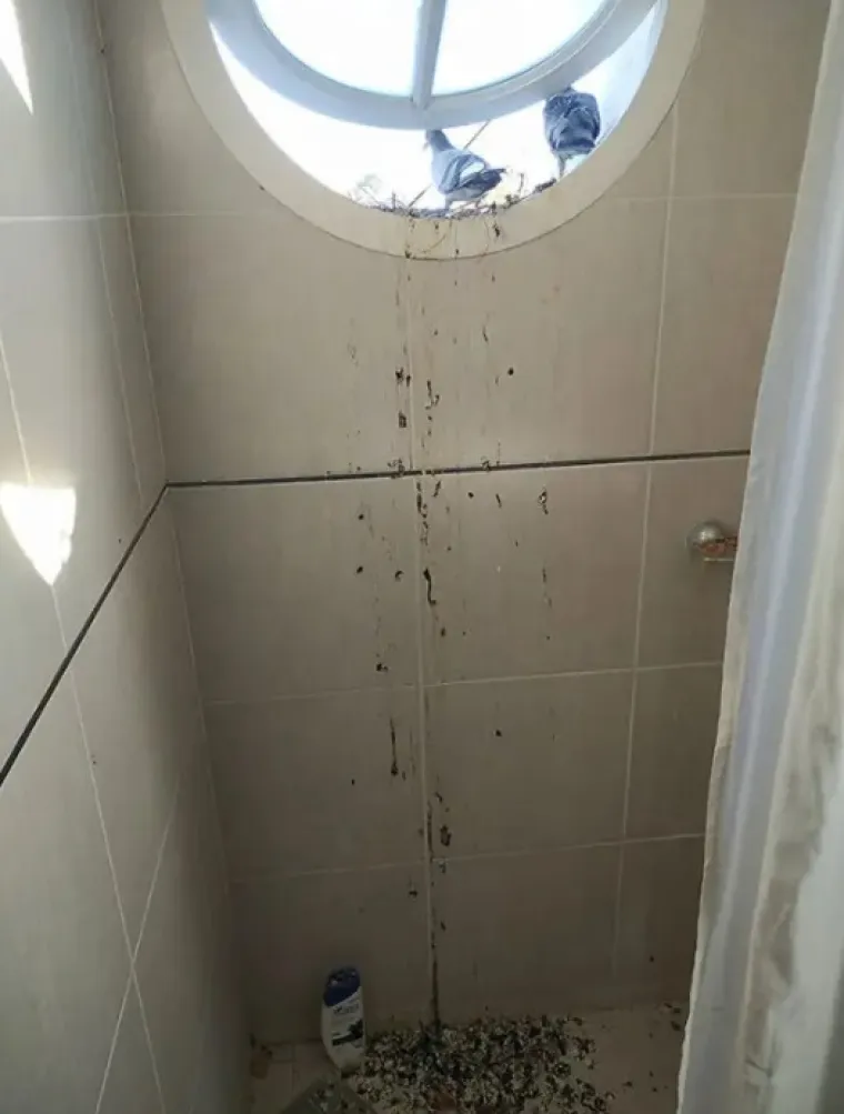 MISLITE DA SAMO VI IMATE LOŠ DAN? Promislit ćete ponovno nakon što vidite ove prizore. Možda ste vi još i dobro prošli...
