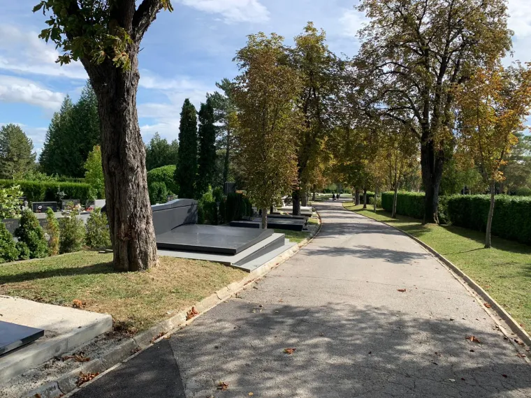 Pogledajte grobno mjesto u Aleji velikana koje je uhićeni direktor Janafa dobio ispod cijene!