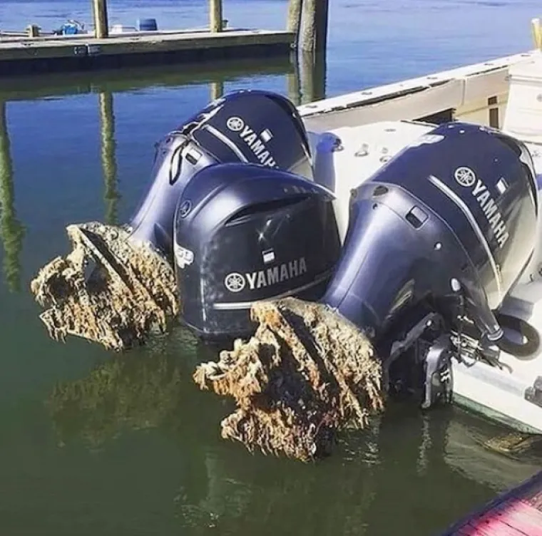 KAŽU LJUDI - SH*T HAPPENS: Da su oni toga dana imali više sreće, vi se ne biste imali čemu smijati