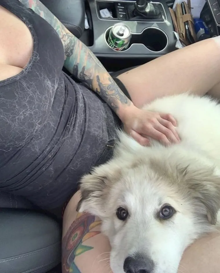 Mi smo se rastopili: Ove fotke pokazuju koliko nas naši ljubimci zapravo vole