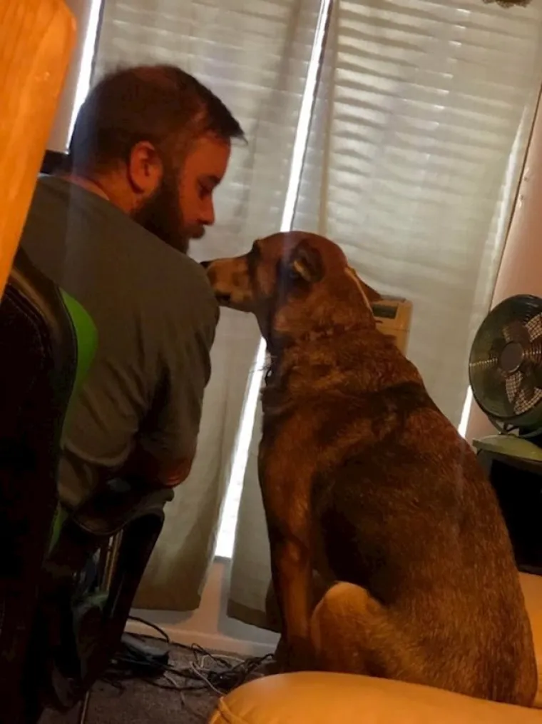 Mi smo se rastopili: Ove fotke pokazuju koliko nas na&scaron;i ljubimci zapravo vole