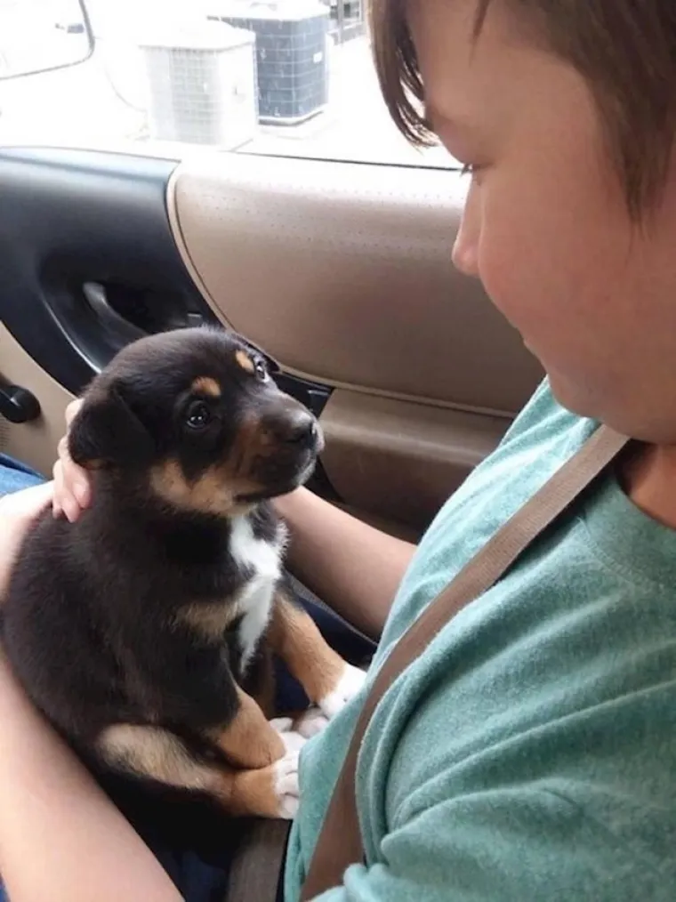 Mi smo se rastopili: Ove fotke pokazuju koliko nas na&scaron;i ljubimci zapravo vole