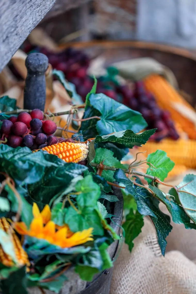 Milanović u zagorskoj berbi: 'Ako moram birati između vina i cigareta, nemam dvojbe, to je dobra kapljica'
