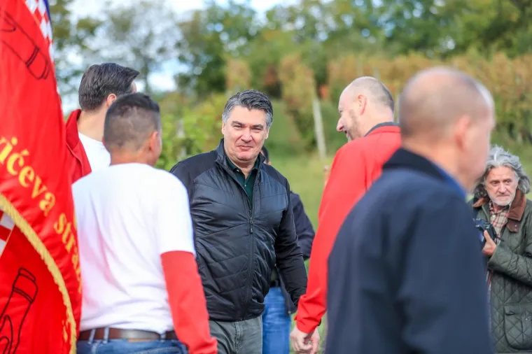 Milanović u zagorskoj berbi: 'Ako moram birati između vina i cigareta, nemam dvojbe, to je dobra kapljica'