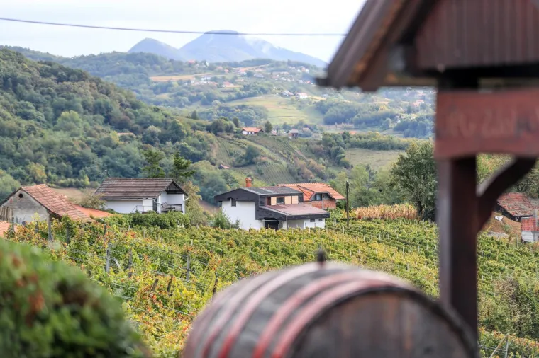 Milanović u zagorskoj berbi: 'Ako moram birati između vina i cigareta, nemam dvojbe, to je dobra kapljica'