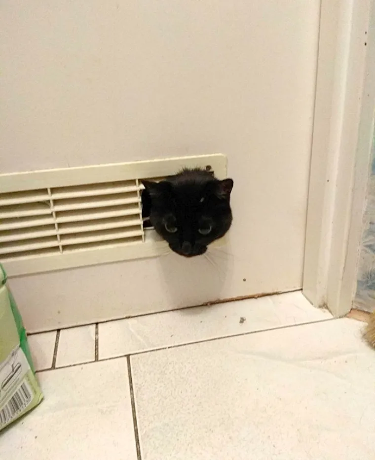 "Razbila je otvor za ventilaciju na vratima kako bi nas mogla špijunirati dok piškimo"