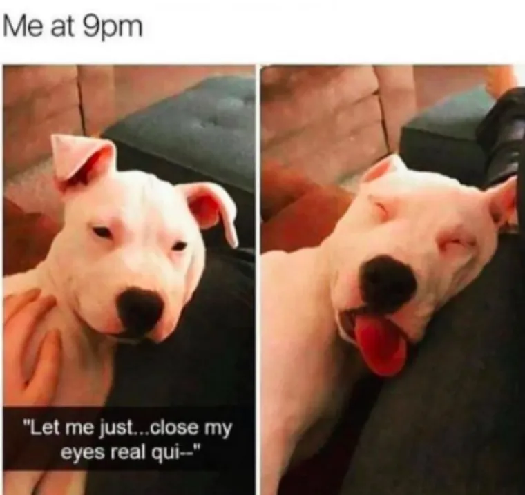 SHVAĆATE LI &Scaron;TO SE ZBIVA U OVIM MEMOVIMA? Pa, svaka vam čast - onda ste i službeno stari!