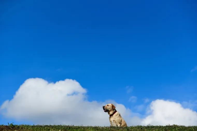 Krenulo je: Prekrasne boje jeseni zavladale zagrebačkim parkom