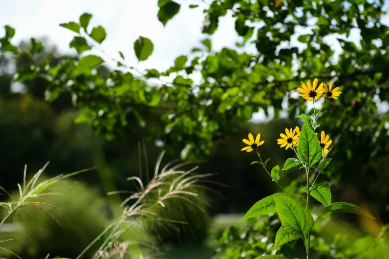 Krenulo je: Prekrasne boje jeseni zavladale zagrebačkim parkom