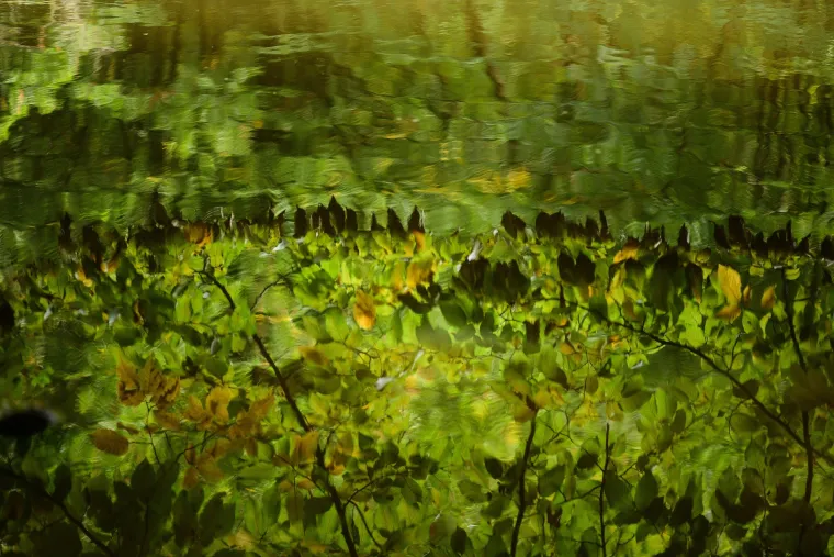 Krenulo je: Prekrasne boje jeseni zavladale zagrebačkim parkom