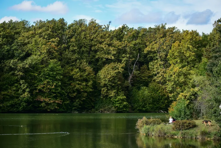 Krenulo je: Prekrasne boje jeseni zavladale zagrebačkim parkom