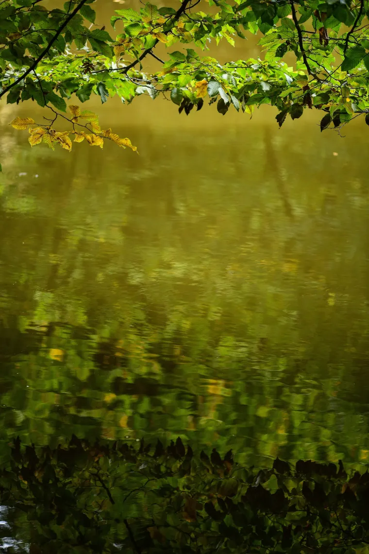 Krenulo je: Prekrasne boje jeseni zavladale zagrebačkim parkom
