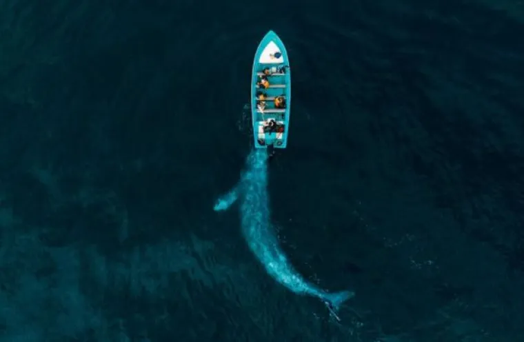 Objavljene su najljep&scaron;e fotografije snimljene dronom: Pogledajte pobjednike!