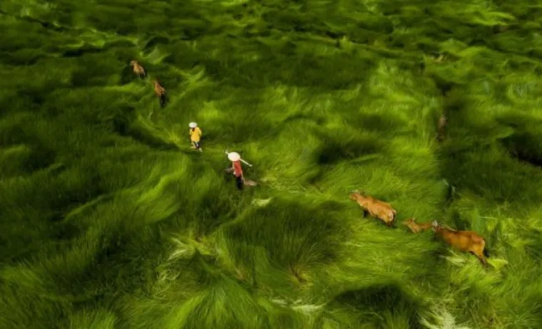 Objavljene su najljep&scaron;e fotografije snimljene dronom: Pogledajte pobjednike!