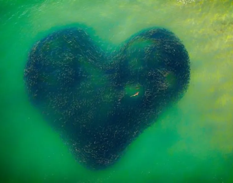 Objavljene su najljep&scaron;e fotografije snimljene dronom: Pogledajte pobjednike!