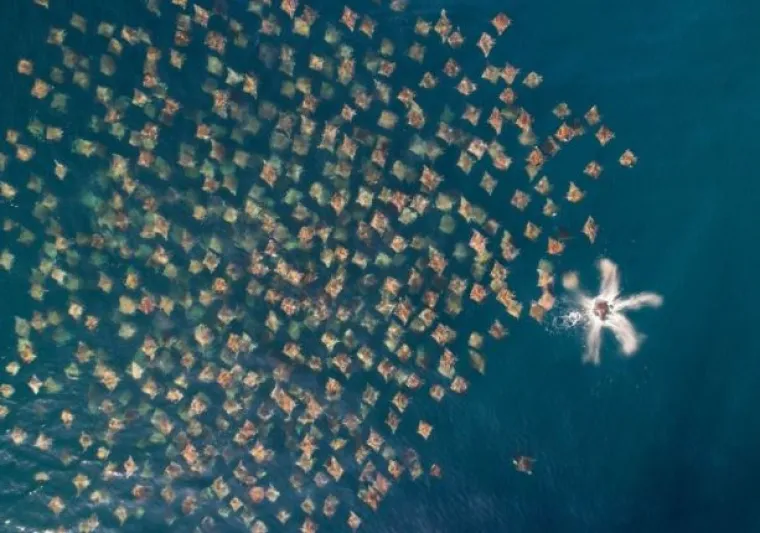 Objavljene su najljep&scaron;e fotografije snimljene dronom: Pogledajte pobjednike!