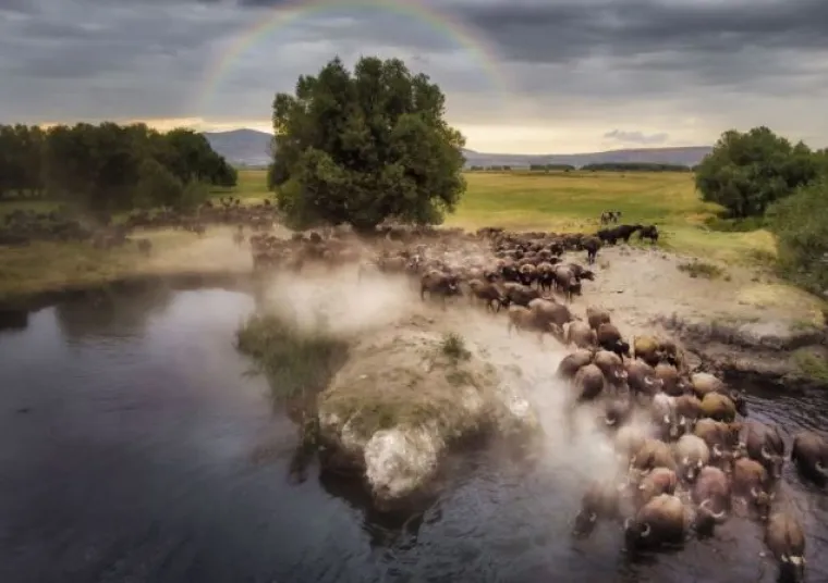 Objavljene su najljep&scaron;e fotografije snimljene dronom: Pogledajte pobjednike!
