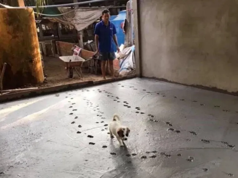 MOŽE LI GORE OD OVOGA: Upropastili su dan sebi i drugima, a ove fotografije pokazuju sav njihov očaj