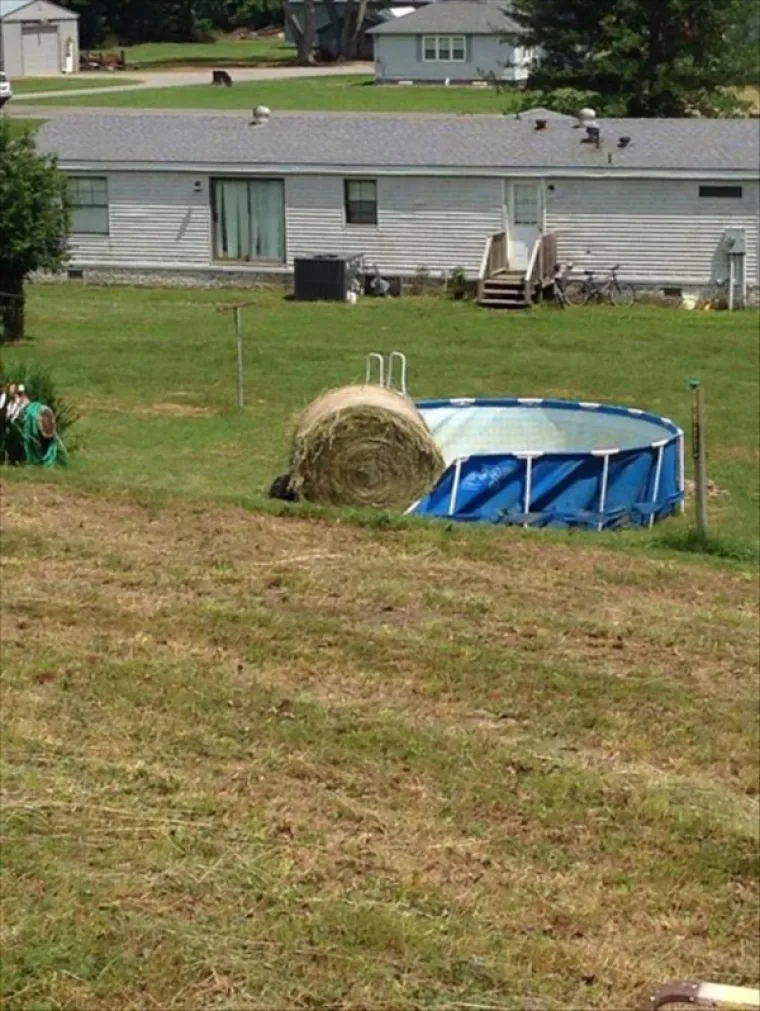 MOŽE LI GORE OD OVOGA: Upropastili su dan sebi i drugima, a ove fotografije pokazuju sav njihov očaj