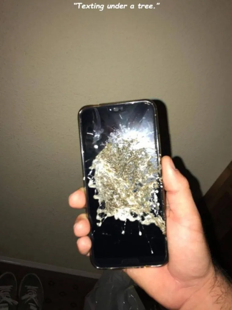 MOŽE LI GORE OD OVOGA: Upropastili su dan sebi i drugima, a ove fotografije pokazuju sav njihov očaj