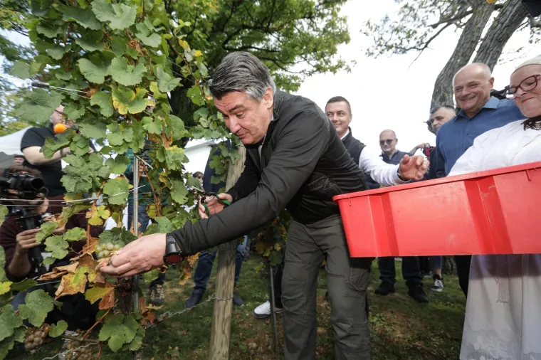 Veloposlanici se u berbi s Milanovićem natjecali tko će nam bolje 'prodati' avione: 'Zoran je pametan momak'
