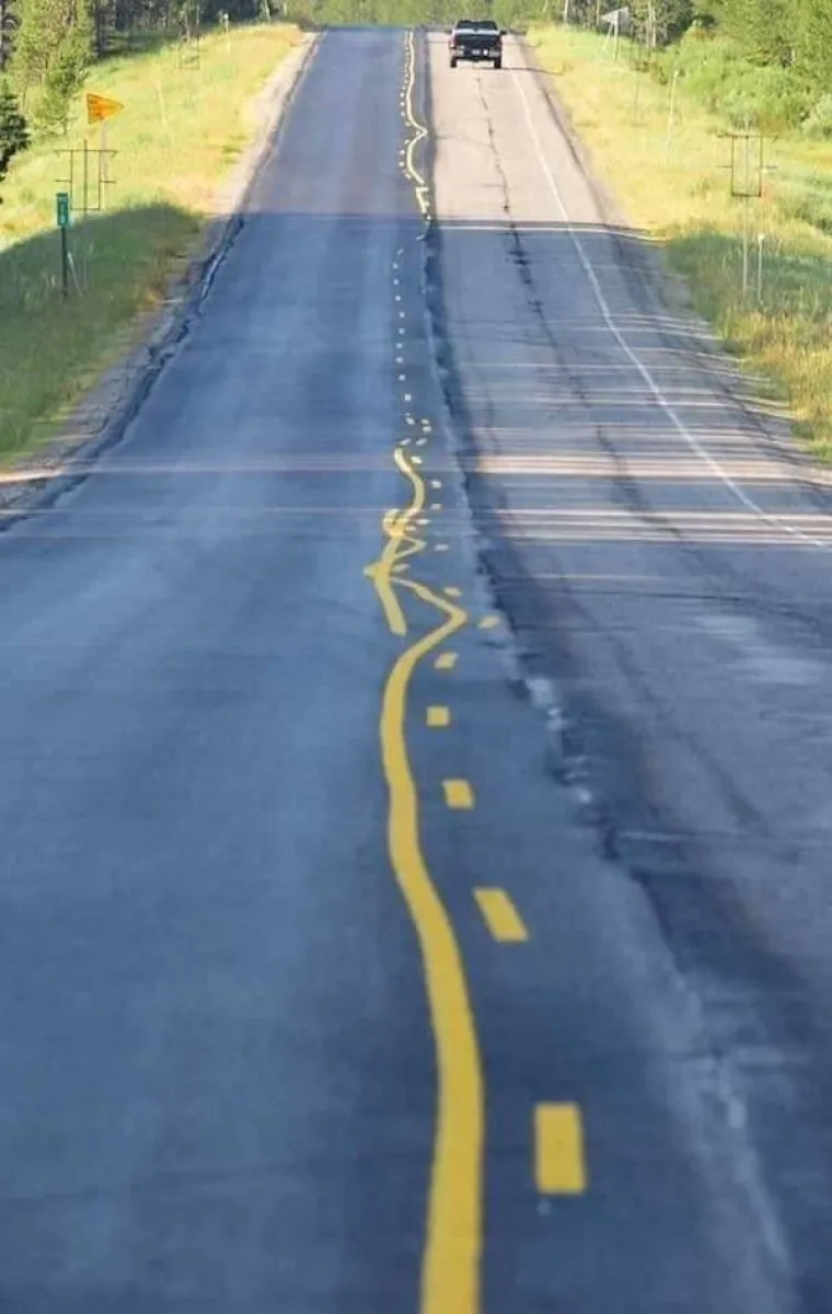 INTELIGENCIJA IM NIJE JAČA STRANA, ALI SVEJEDNO IM HVALA: Osramotili su se i postali sinonim za fail