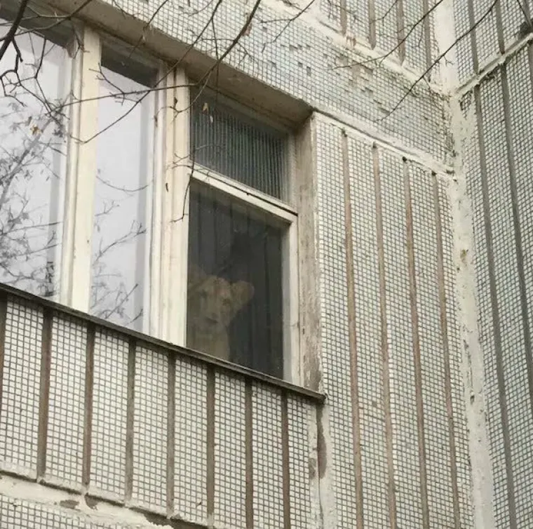 OVAKVE PRIZORE MOGUĆE JE VIDJETI SAMO U RUSIJI: Njihovo shvaćanje normalnog puno je &scaron;ire od ostalog svijeta