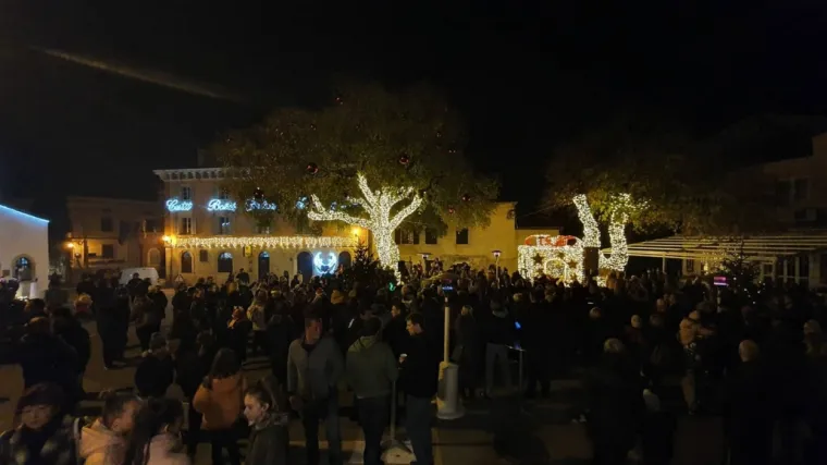 Hoće li Najstarija Medulinka postati Hrvatsko stablo godine 2020. godine?