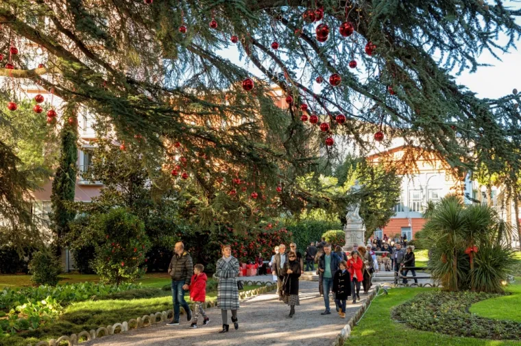 Hoće li Cedar u Perivoju mladenaca postati Hrvatsko stablo godine 2020. godine?