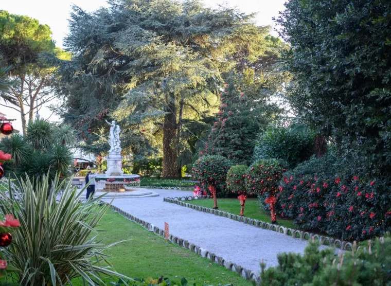 Hoće li Cedar u Perivoju mladenaca postati Hrvatsko stablo godine 2020. godine?